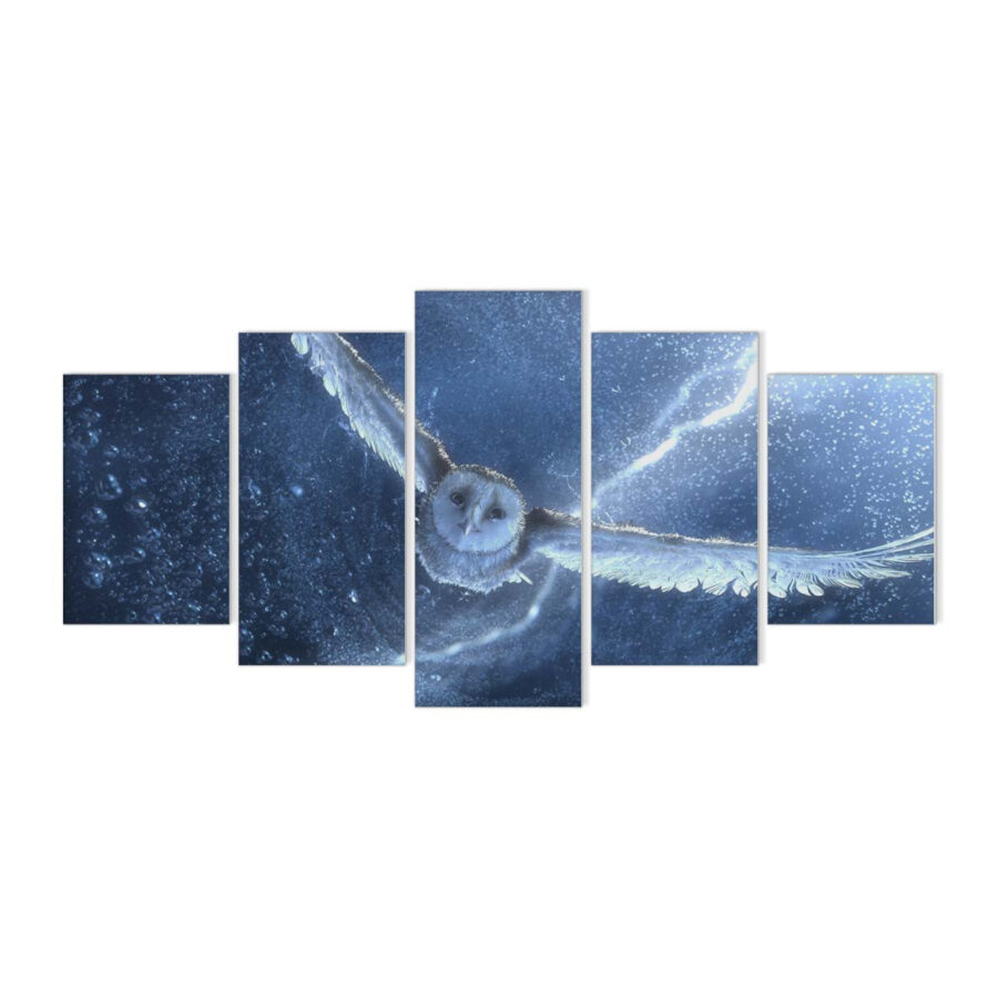 Harry Potter Hedwig Eule 1 Leinwandbilder