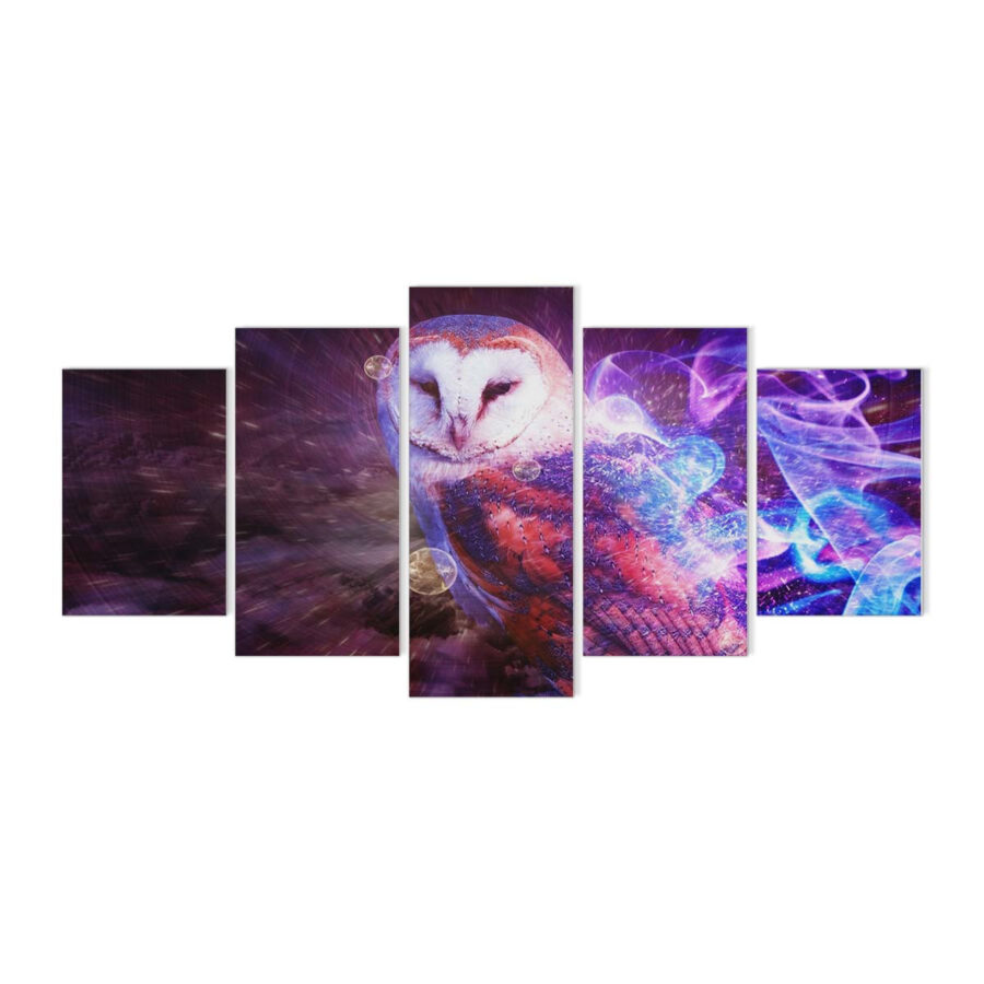 Harry Potter Hedwig Eule 2 Leinwandbilder
